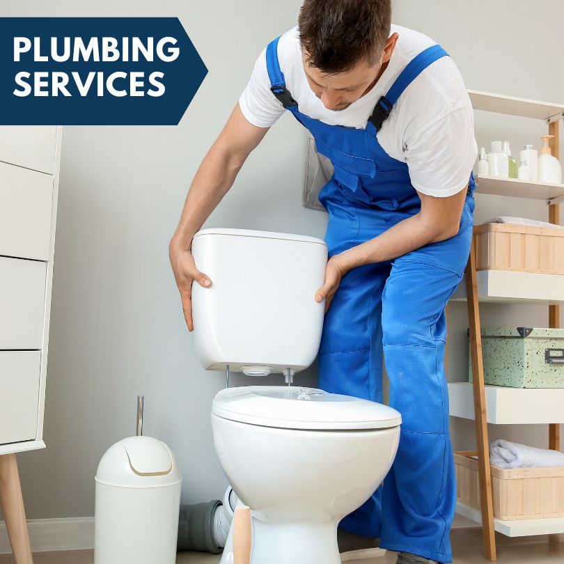 Plumbing Company in Freeman Spur, IL